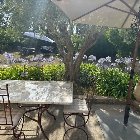 Tropezienne 쎙뜨호뻬